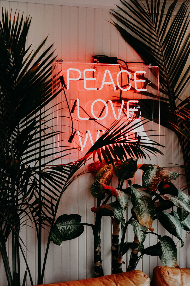 red peace love neon sign, inscription, plants, text, highlight, love, HD wallpaper