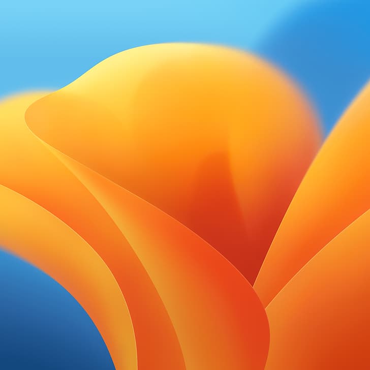 Mac OS X ، MacOS Ventura ، ملون ، خلفية برتقالية ، أزهار ، أزهار، خلفية HD