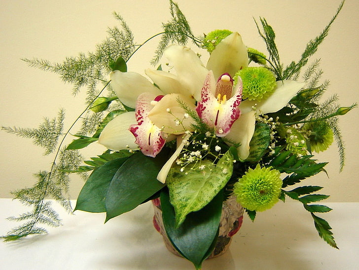 weiße und rosafarbene Blumen, Orchideen, Chrysanthemen, Blumen, Blumenstrauß, Vase, Grün, HD-Hintergrundbild