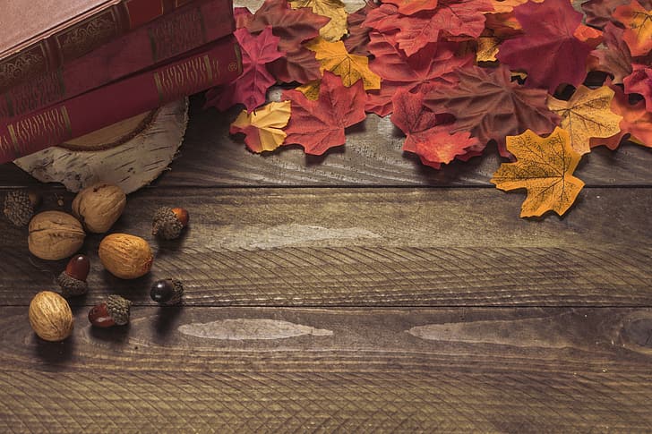 autumn, leaves, background, colorful, Board, wood, acorns, maple, HD wallpaper