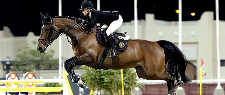 Equitation, horse, Horse Riding, Jumping, HD wallpaper