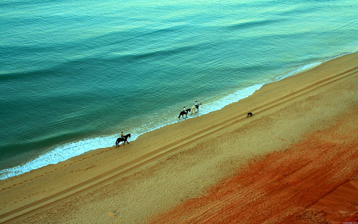 three horses, beach, horse, HD wallpaper