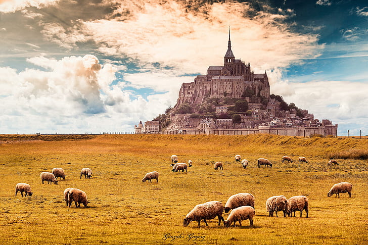 Mont-saint-michel na Normandia França, HD papel de parede
