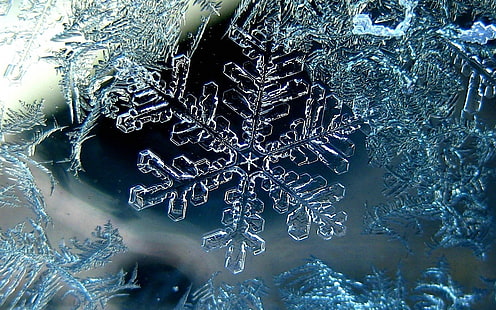 ภาพประกอบเกล็ดหิมะเกล็ดหิมะฤดูหนาวมาโครน้ำแข็ง, วอลล์เปเปอร์ HD HD wallpaper