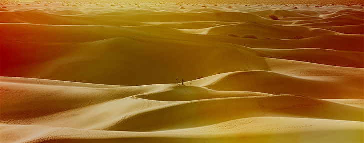 Something From A Dream, Dune di sabbia, Stati Uniti, California, Alba, Deserto, Death Valley, Parco nazionale della Valle della Morte, Stati Uniti d'America, Dune del Mesquite, Dune piatte del Mesquite, Dune di sabbia, Sfondo HD