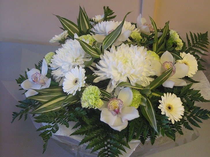 biało-zielona stokrotka, mamy, goździk i orchidea kompozycja kwiatowa, chryzantemy, kwiaty, bukiet, dekoracja, zielony, Tapety HD