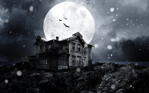 A Haunted House Movie, Une maison hantée, Fond d'écran HD HD wallpaper