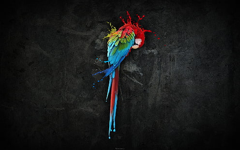 Pittura pappagallo, are, uccelli, pappagallo, liquido, fantasy art, animali, arte digitale, Sfondo HD HD wallpaper