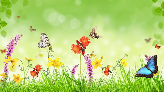 Primavera, flores, grama, borboleta, fundo verde, design criativo, borboleta de repolho branco, borboleta morpho e borboleta de rabo de tigre impressão, Primavera, Flores, grama, borboleta, verde, fundo, criativa, design, HD papel de parede HD wallpaper