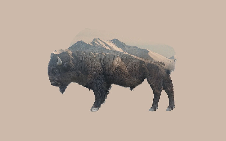 brown bison, double exposure, animals, mountains, nature, bison, HD wallpaper