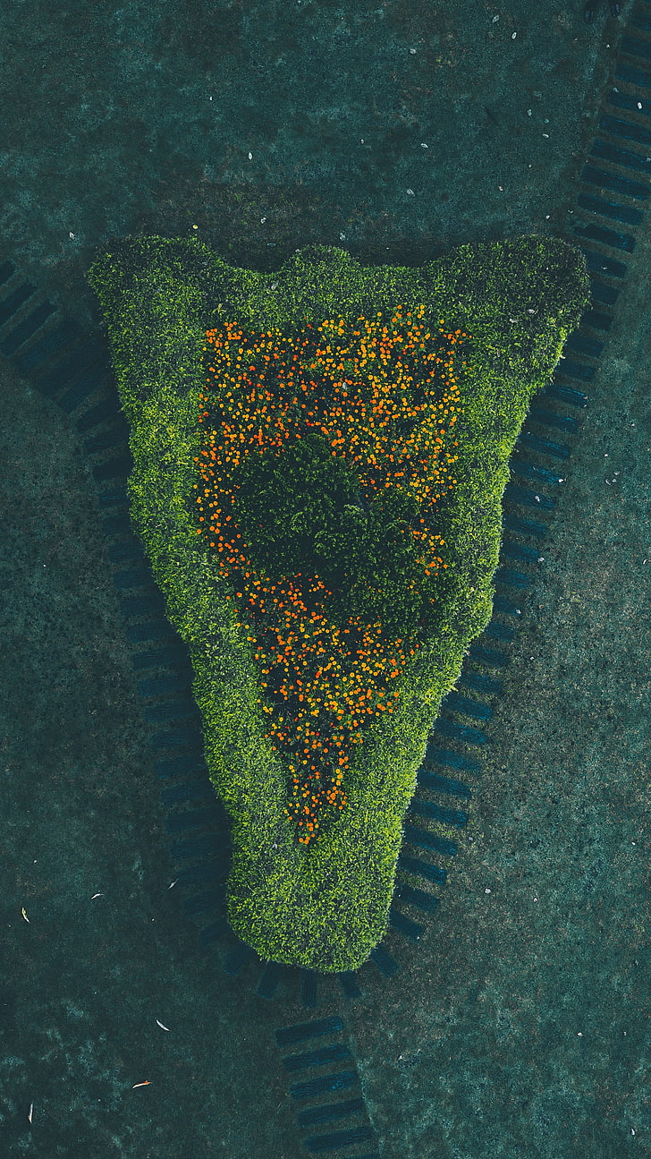 fotografía aérea de islote, naturaleza, vista panorámica, Fondo de pantalla HD, fondo de pantalla de teléfono