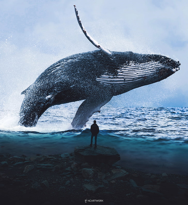 Homme, baleine bleue, 4K, rêve, eau, Fond d'écran HD, fond d'écran de téléphone