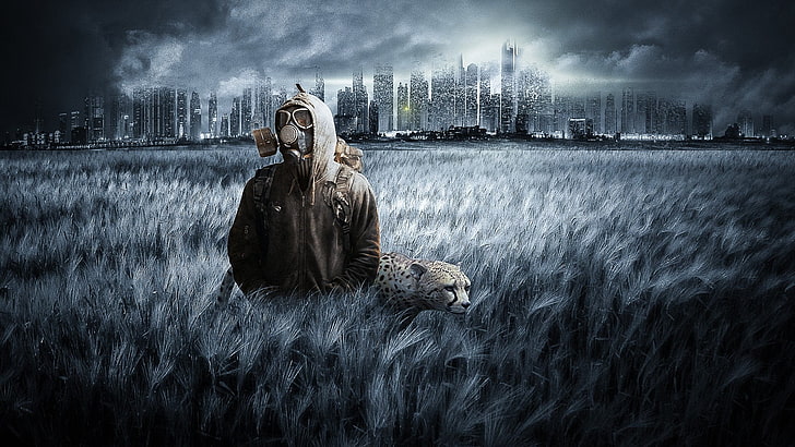 pria di padang rumput dekat cheetah, pria, Wallpaper HD