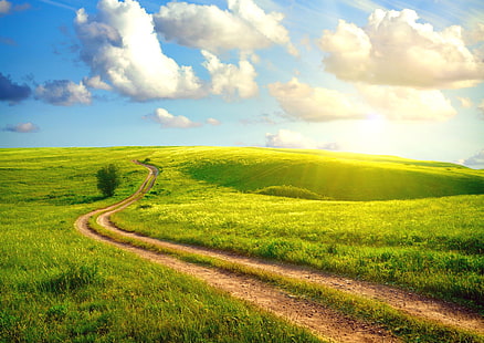 green grass field, road, summer, the sky, grass, the sun, clouds, landscape, country, village, dense, Sunshine day, HD wallpaper HD wallpaper