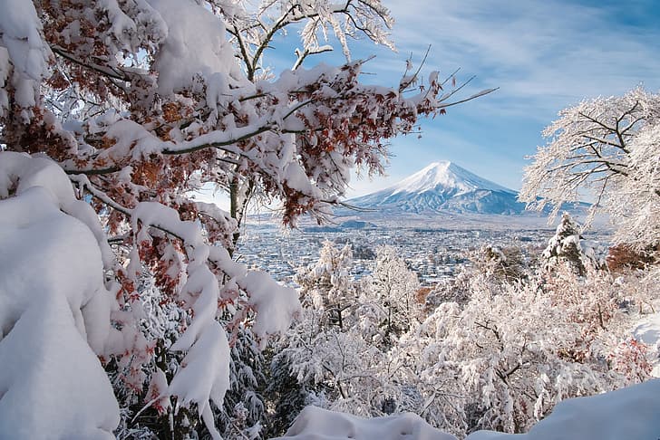 hiver, neige, arbres, branches, le volcan, Japon, panorama, Mont Fuji, Fuji, Fujiyoshida, Yamanashi, Fond d'écran HD