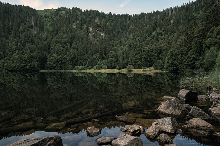 arc à poulies marron et noir, paysage, forêt, rochers, nature, lac, reflet, eau, Fond d'écran HD