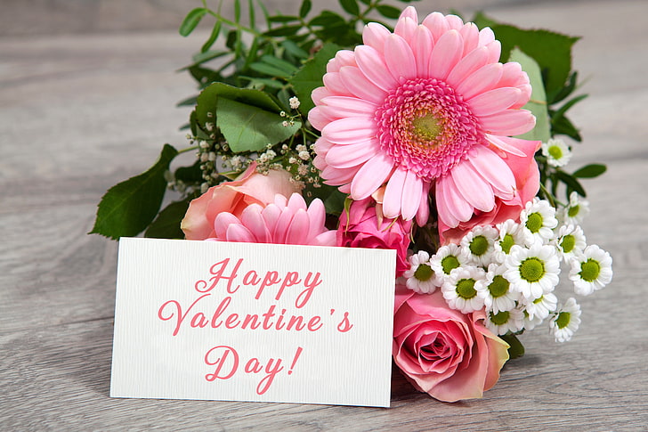 love, gerbera, flower, heart, pink, romantic, orange, valentine`s day, HD wallpaper
