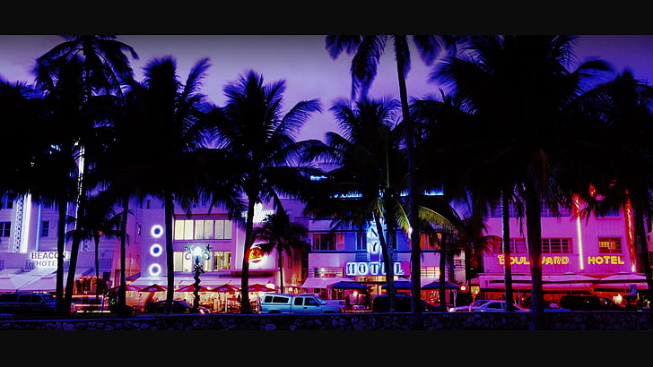 силуэт кокосовой пальмы возле здания, Майами, HD обои