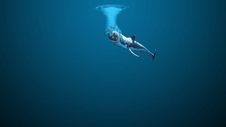 акула, произведение искусства, подводный, животные, HD обои