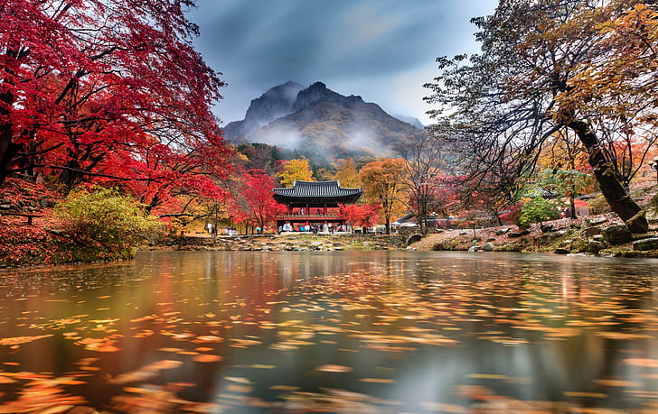 autumn, clouds, trees, mountains, fog, pond, Park, temple, South Korea, Baegyangsa, Naejangsan, HD wallpaper