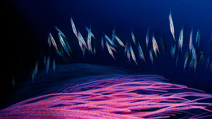 lukisan abstrak ungu dan hitam, alam, bawah air, laut, hewan, ikan, warna-warni, laut dalam, Wallpaper HD