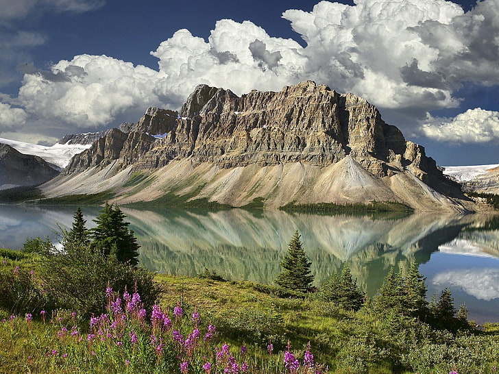 흰색과 녹색 꽃 섬유, 자연, 풍경, 산, 구름, 캐나다, 호수, 나무, 꽃, 눈, 반사, HD 배경 화면