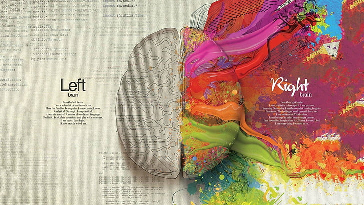 multicolored brain illustration, Human Brain painting, abstract, brain, science, artwork, anatomy, digital art, text, quote, creativity, typography, splitting, HD wallpaper