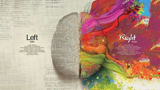 multicolored brain illustration, Human Brain painting, abstract, brain, science, artwork, anatomy, digital art, text, quote, creativity, typography, splitting, HD wallpaper HD wallpaper