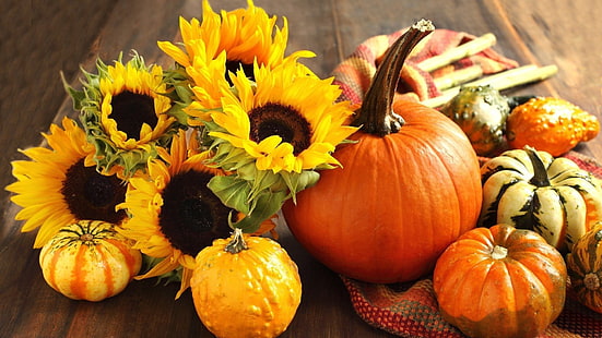 тиква, портокал, скуош, зеленчук, Хелоуин, продукция, храна, есен, октомври, есен, празник, сезонен, тикви, плодове, реколта, жълт, сезон, растение, декорация, благодарност, кратуна, празник, HD тапет HD wallpaper