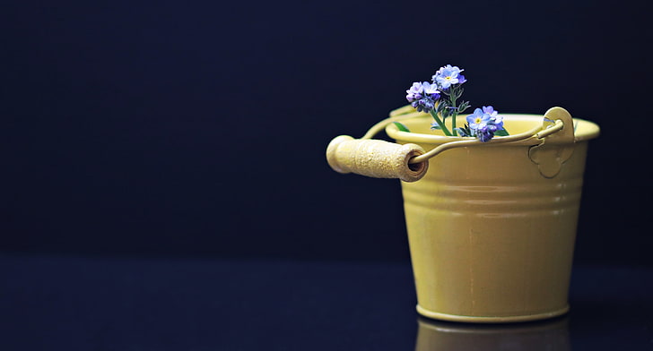 yellow bucket, flowers, bucket, decorative, HD wallpaper