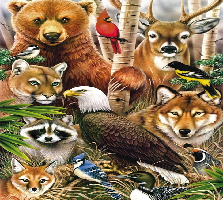 Niedźwiedź brunatny i przyjaciele zwierząt, woda, drzewa, brunatny, lew górski, niedźwiedź, jeleń, szop, ptaki, Tapety HD