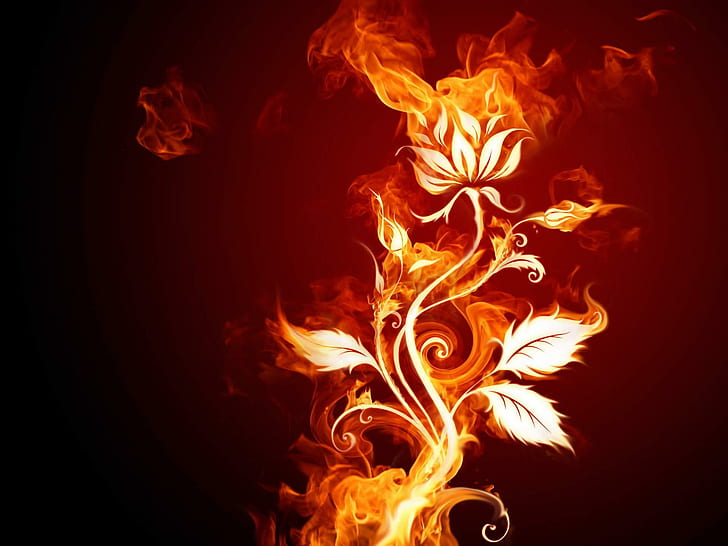 В огън, растение, роза, огън, 3d и абстрактно, HD тапет