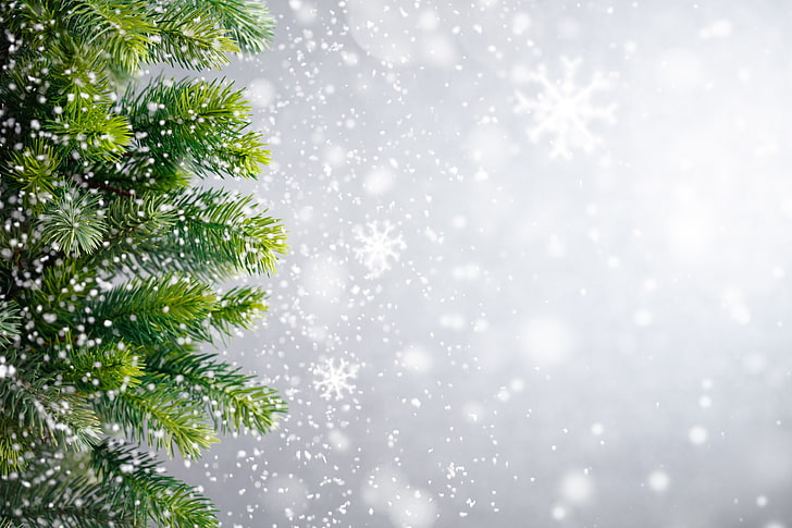 зелени борови клонки, зима, сняг, снежинки, дърво, Нова година, Коледа, Коледа, HD тапет