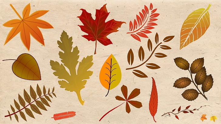outono, plano de fundo, serapilheira, fundos de mesa, área de trabalho, outono, fundo de outono, cores do outono, folhagem de outono, folhas de outono, imagens, fotos, jardim, outono dourado, feito à mão, papel artesanal, folha, l, HD papel de parede