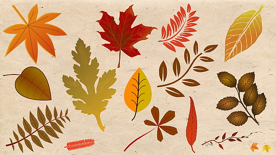 jesień, tło, konopie, tła pulpitu, pulpit, jesień, jesienne tło, jesienne kolory, jesienne liście, jesienne liście, obrazy, zdjęcia, ogród, złota jesień, ręcznie robione, papier czerpany, liść, l, Tapety HD HD wallpaper