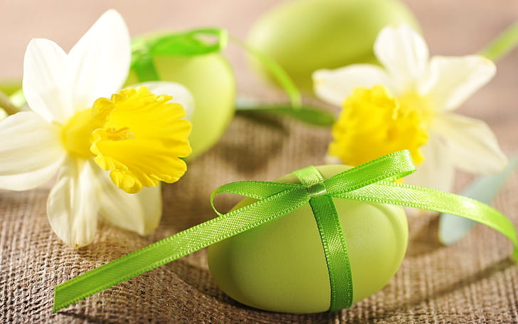 Daffodils and Easter Eggs, daffodils, easter eggs, eggs, HD wallpaper