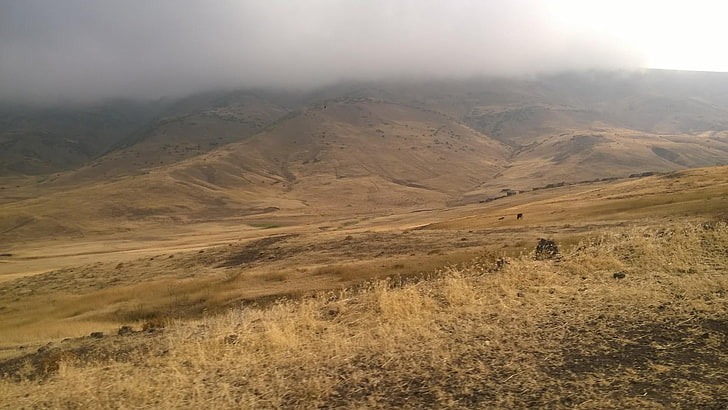 المراعي ، السهوب ، التل ، الشجيرات ، إيران ، السماء ، عادي ، كوموني ، التلال ، الجبل ، العشب، خلفية HD
