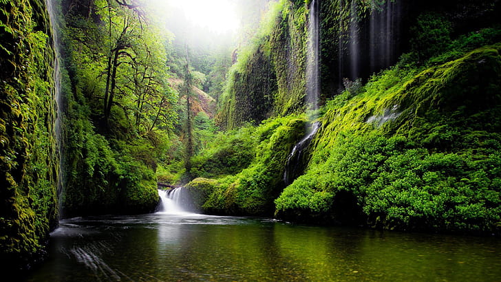 Весенний пейзаж Водопад в штате Орегон США Природа Река Вода Вода Деревья Листва Обои для рабочего стола Скачать бесплатно, HD обои
