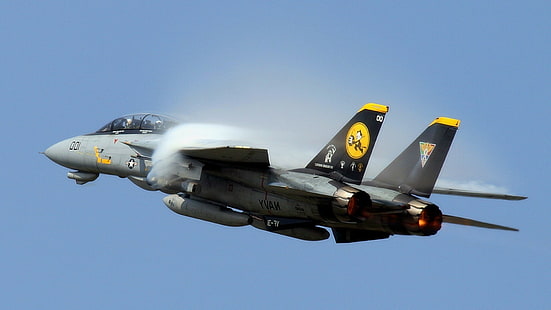 aircraft jet fighter military f 14 tomcat, HD wallpaper HD wallpaper