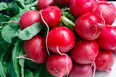 red raddish, radish, vegetable, ripe, HD wallpaper HD wallpaper