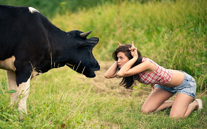 women grass summer funny horns stupidity cows shorts plaid denim shorts checkered clothing faces in Entertainment Funny HD Art , grass, women, HD wallpaper