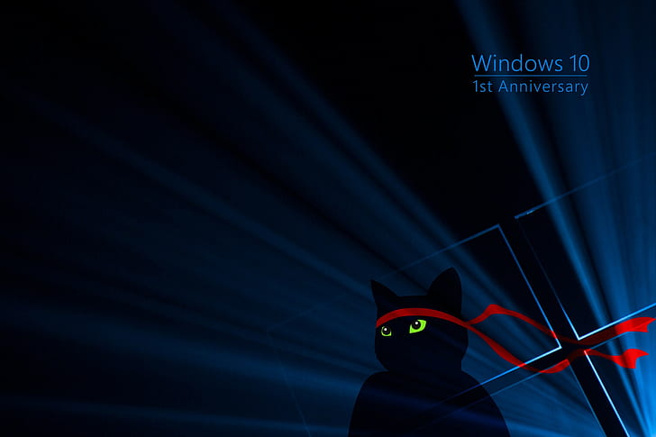고양이, Windows 10, 녹색, 빨강, 파랑, 어두운, 검은 색, Windows 10 주년, HD 배경 화면