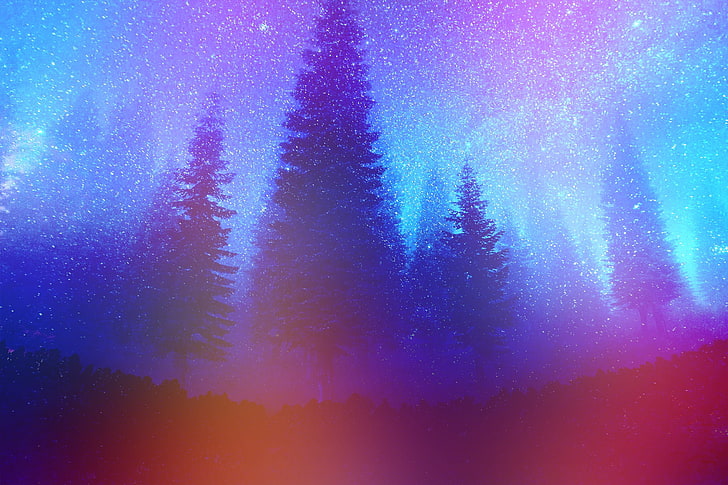 tall trees, pine trees, forest, night, colorful, constellations, mist, stars, nature, retouching, HD wallpaper