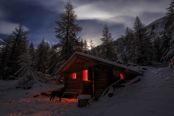 rumah kayu coklat, fotografi, pemandangan, alam, musim dingin, kabin, salju, cahaya bulan, anjing, hutan, pegunungan, pohon pinus, Swiss, Wallpaper HD