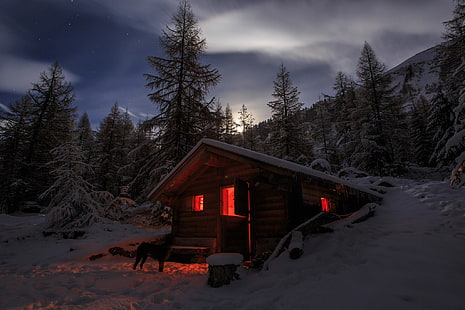 茶色の木造住宅、写真、風景、自然、冬、キャビン、雪、月明かり、犬、森、山、松の木、スイス、 HDデスクトップの壁紙 HD wallpaper