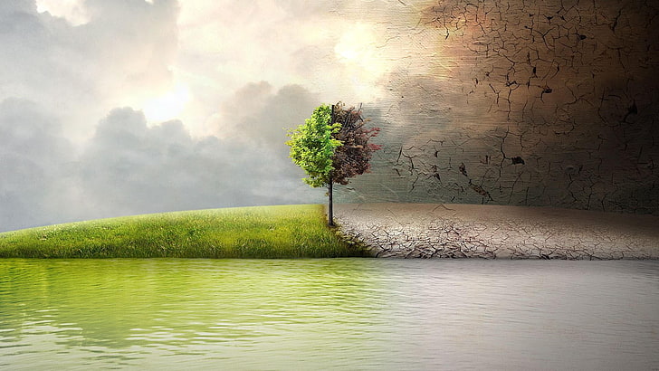 дерево, противоположность, озеро, духовное, перемены, облака, жизнь, HD обои
