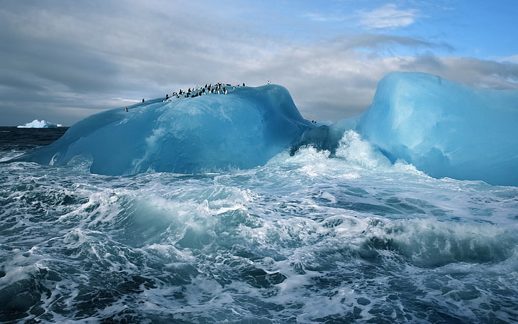 iceberg, antarctica, penguins, ice, ocean, HD wallpaper