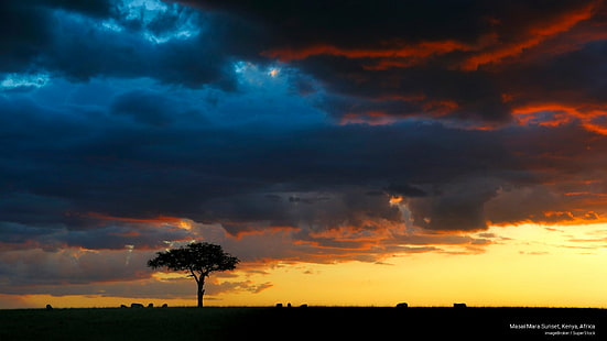 غروب الشمس في ماساي مارا ، كينيا ، إفريقيا ، إفريقيا، خلفية HD HD wallpaper