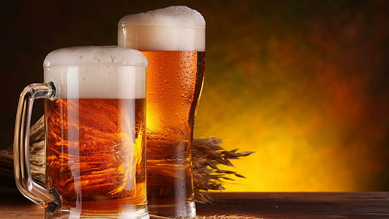 ビールのグラス、飲み物、アルコール、ビール、ビールのグラス、 HDデスクトップの壁紙 HD wallpaper