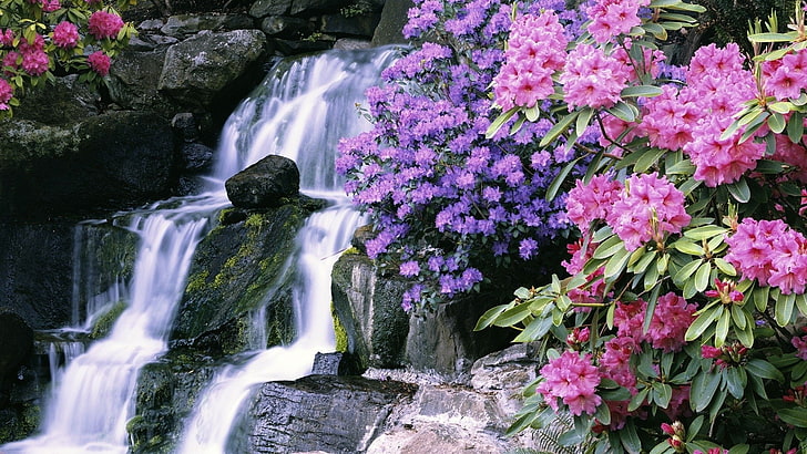 Chutes d'eau, Chute d'eau, Fleur, Jardin, Mousse, Nature, Rock, Eau, Fond d'écran HD